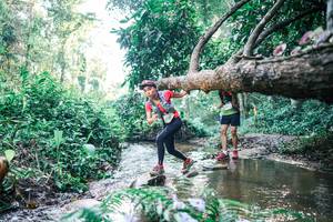 BIB: 
                            <button type="button" onclick="openModal(25434841)" class="btn btn-primary btn-sm float-right btn-popup" data-toggle="modal" data-target=".modal-high-quality">
                        <i class="fas fa-shopping-cart"></i> Add to Cart
                    </button>
                                            <button type="button" onclick="isThisMe(25434841, true)" class="btn btn-success btn-sm float-right btn-popup btn-isme hidden" data-toggle="tooltip" data-placement="bottom" title="นี่คือรูปของคุณใช่ไหม คลิกที่นี่เพื่อเอาเข้าอัลบั้ม">
                        <i class="fas fa-plus"></i> Add to album
                    </button>
                    <button type="button" onclick="isThisMe(25434841, false)" class="btn btn-warning btn-sm float-right btn-popup btn-isnotme hidden">
                        <i class="fas fa-ban"></i> Remove from album
                    </button>